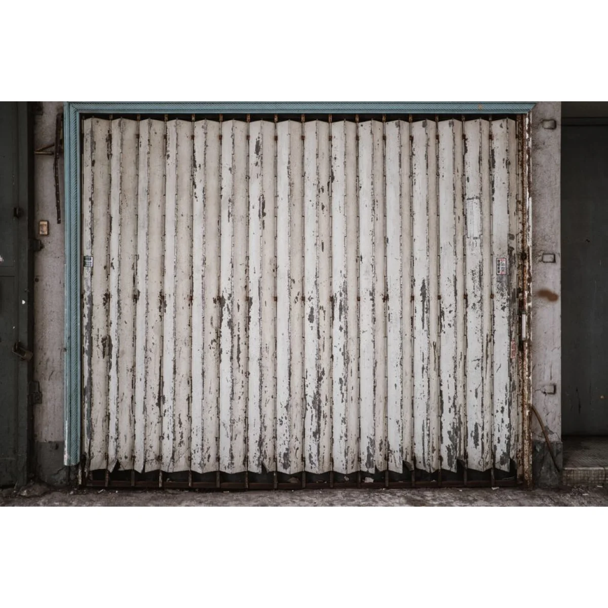 Pivot Front Entrance Door