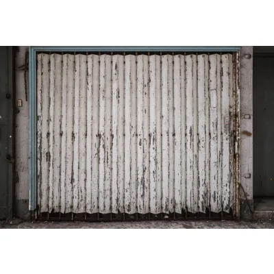 Pivot Front Entrance Door